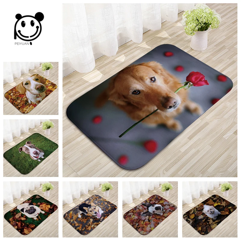 cheap New Arrive 40*60cm Light Thin Anti Slip Mats Brief Cute Cartoon Bulldog Puppy Mats Welcome Home Entrance Door Flannel Rug