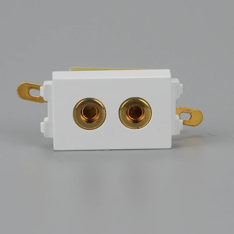 Blunt Speaker Plug slot pic 2
