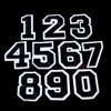 Number Patches Figure Digit Word Patches Embroidered Iron on for DIY Stripes Motif Appliques Garment Clothes Badge ► Photo 2/4