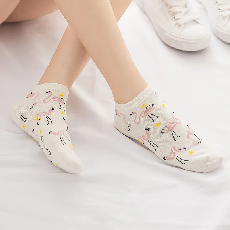 10749562246_1679789846