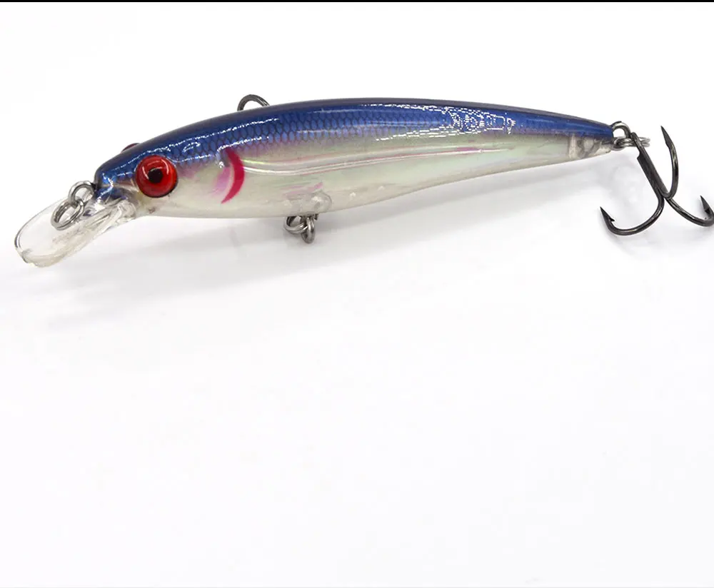 Killer-minnow1_05