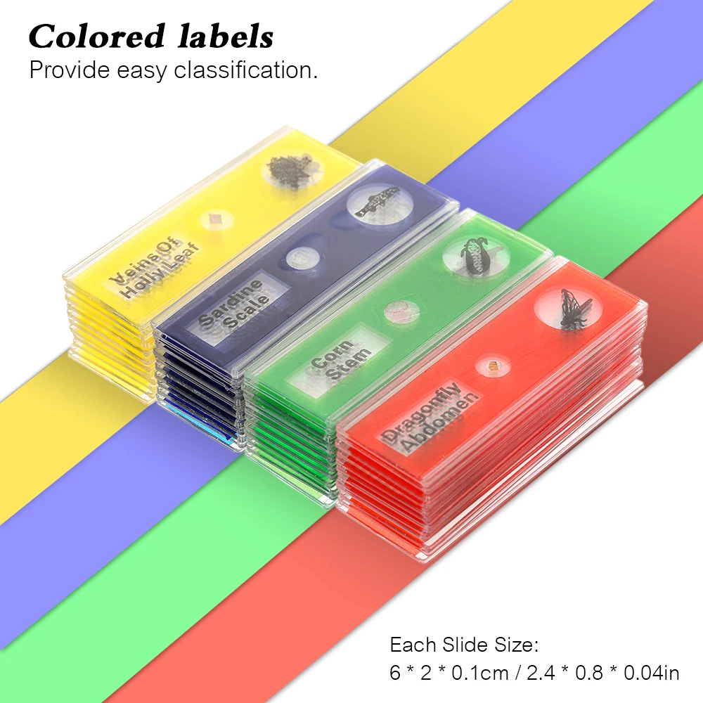 

48pcs Prepared Specimen Animals Insects Plants Flowers Microscope Slides Plastic Mini Camera for Children Student Kids Gift