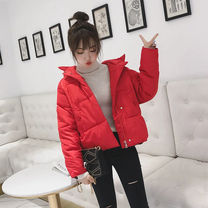 inverno curto algodão acolchoado casaco feminino outono cor inverno parka gola