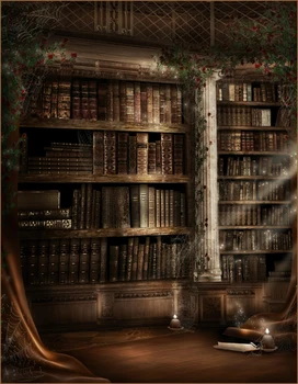 

10x10FT Vinyl fairy tale books shelf for graduation students children photograpy background backdrop for photo studio