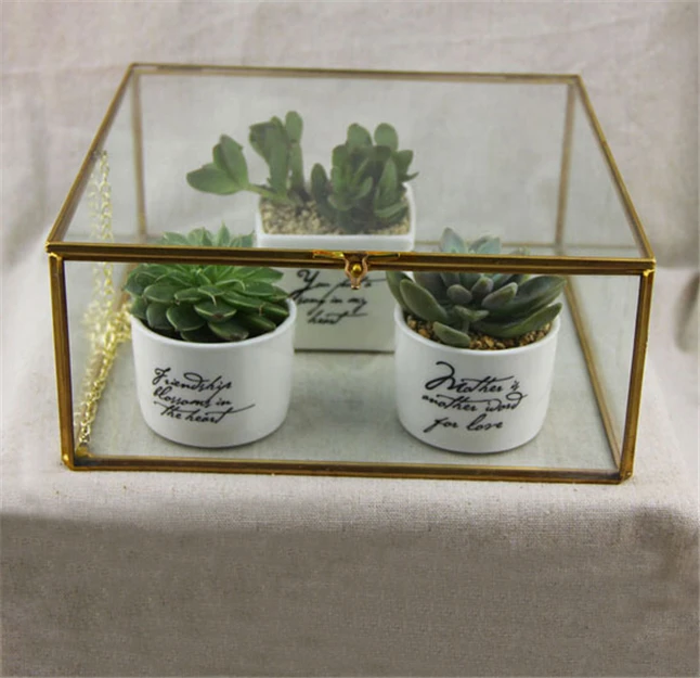 Jewelry Display Case4.jpg