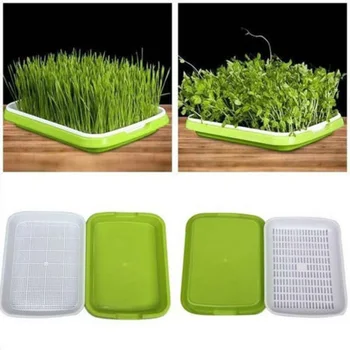 

Double-Layer Plant Nursery Pots Hydroponics Tray Seed Sprout Plate Plant Germination Tray Grow Box Vegetable Seeding Tray Case