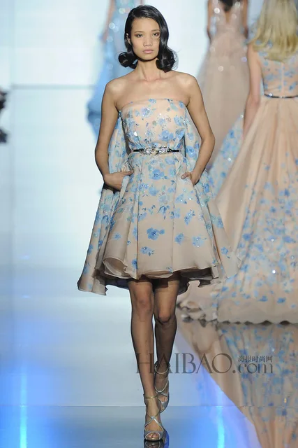 Elie Saab Cinderella Dresses