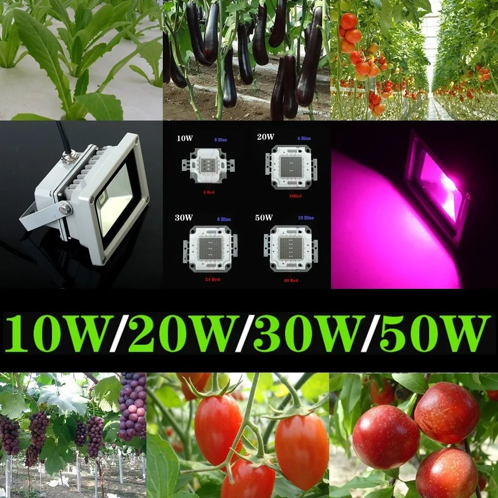 

Full Spectrum 10W 20W 30W 50W Grow Lamp Blue 554nm Red 660nm Hydroponic Plant Flood LED Grow Lights Water Proof