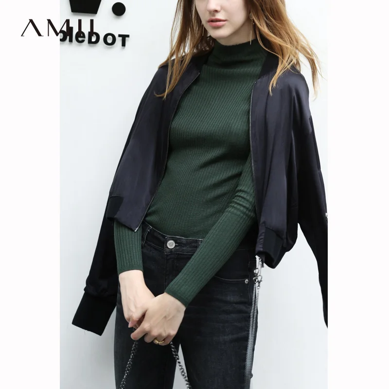 

Amii Minimalist Chic Pullover Sweater 2019 Autumn New Solid Turtleneck Slim Fit Top