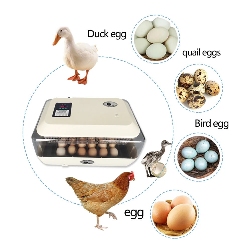 Полностью Автоматическая цифровая температура 220 В инкубатория птицы машина 24 инкубатор яиц машина для курицы утки перепелиного попугая
