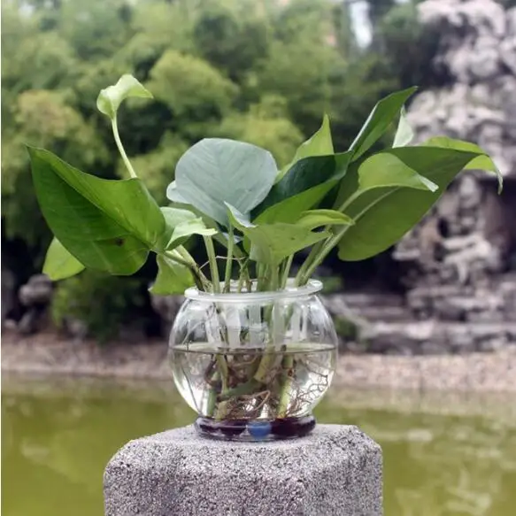 QQ20181221120458