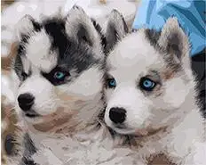 MaHuaf-X1392 Pedigree siberian husky puppies DIY painting by Numbers animal Hand-painted canvas digital oil painting home decor