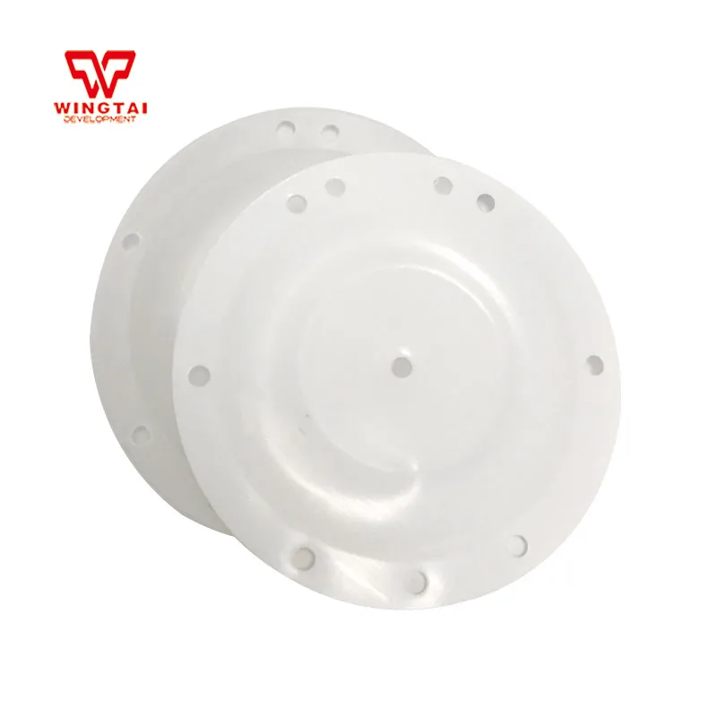

5 Set Standard PTFE Diaphragm For Single-way Pneumatic Diaphragm Pump BML-5