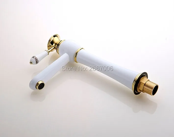 ZR569 (2)