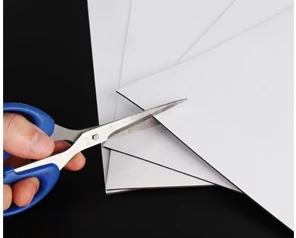 A31_