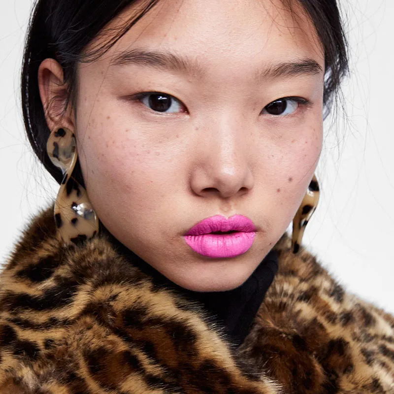 Dvacaman ZA 2019 Geometric Leopard Print Resin Drop Earrings Long Dangle Earrings Women Party Statement Jewelry Gifts Wholesale