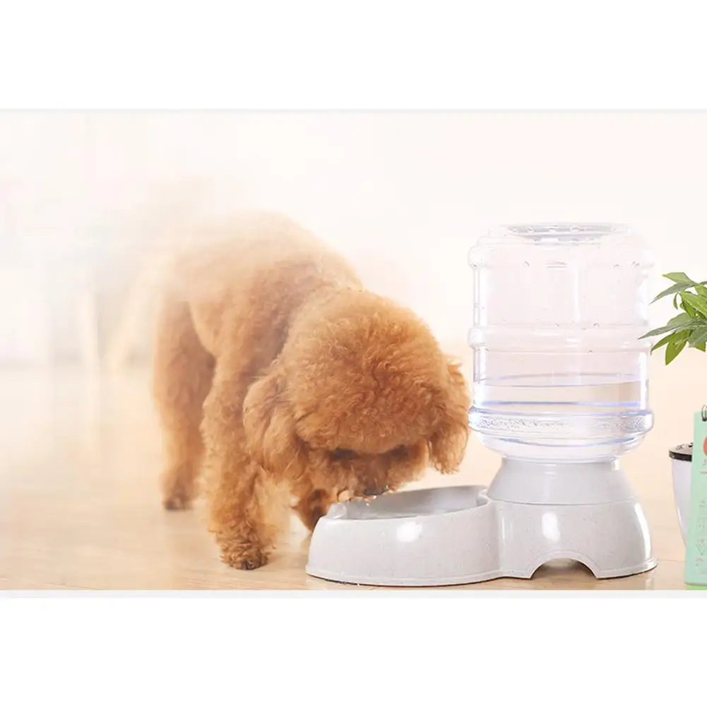 3.8L Pet Automatic Feeder Dog Cat Drinking Bowl For Dog Water Drinking Cat Feeding Large Capacity Dispenser Pet Cat Dog