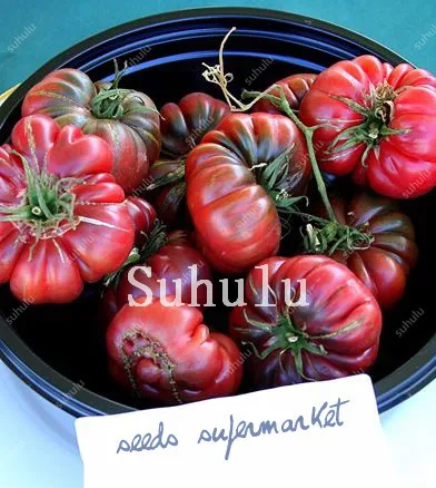 Free Shipping 200pcs Heirloom Giant Monster Tomato Bonsai Genuine Fresh Bonsai Very Rare Vegetables Bonsai For Home Garden Plant
