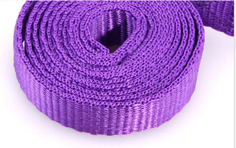 SYDZSW Pet Classic Solid Color Dog Leash Durable Nylon Dog Leash 0.6 x 4 feet Pet Leads Leash for Small and Medium Dogs9