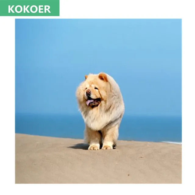 chow chow dog 5d diy diamond painting resin square diamond chow chow dog 5d diy diamond painting resin square diamond needlework cross stitch embroidery home decor