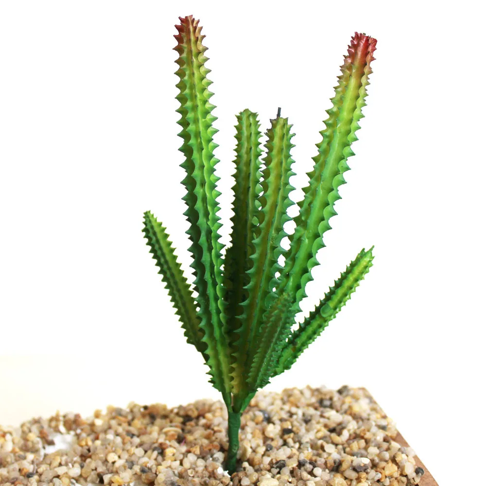 Buy Artificial Cactus And Succulents Plants Realistic