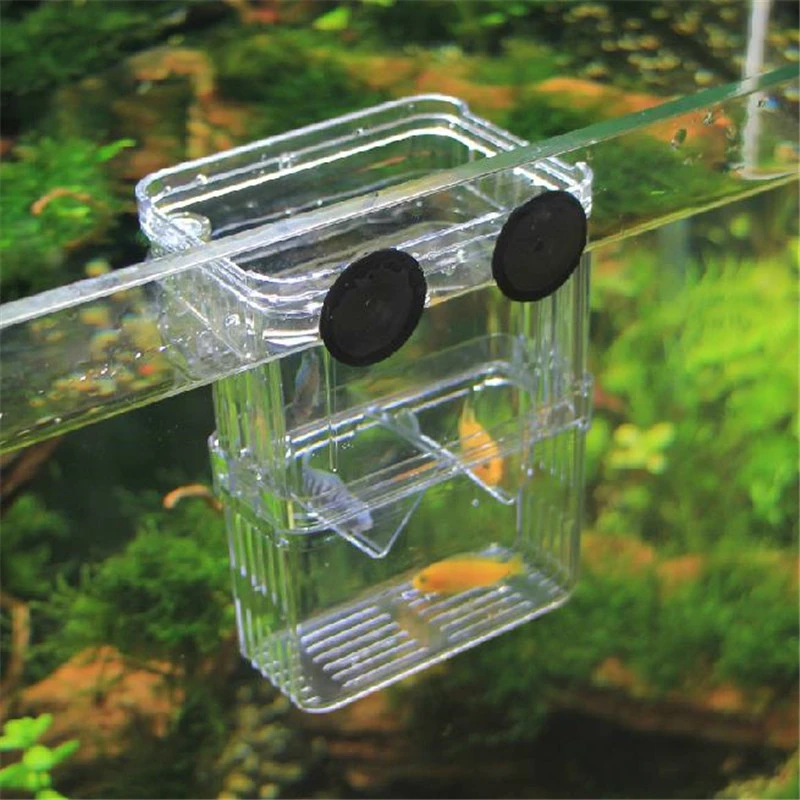サイズl高クリア魚飼育箱水族館ブリーダーボックスダブルグッピー孵化ボックスインキュベーター隔離 新アクリル Breeding Box Aquarium Fish Breeding Boxbreeding Box Aliexpress