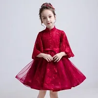 Прекрасный для девочек в цветочек романтичное платье новые красные Платье с кружевными цветами для девочек для Свадебная вечеринка