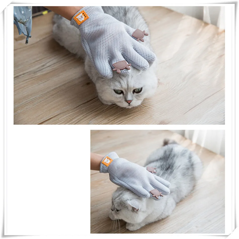Pet Glove XQ5