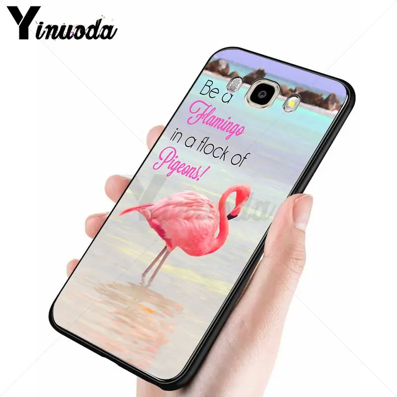 red summer animal flamingo