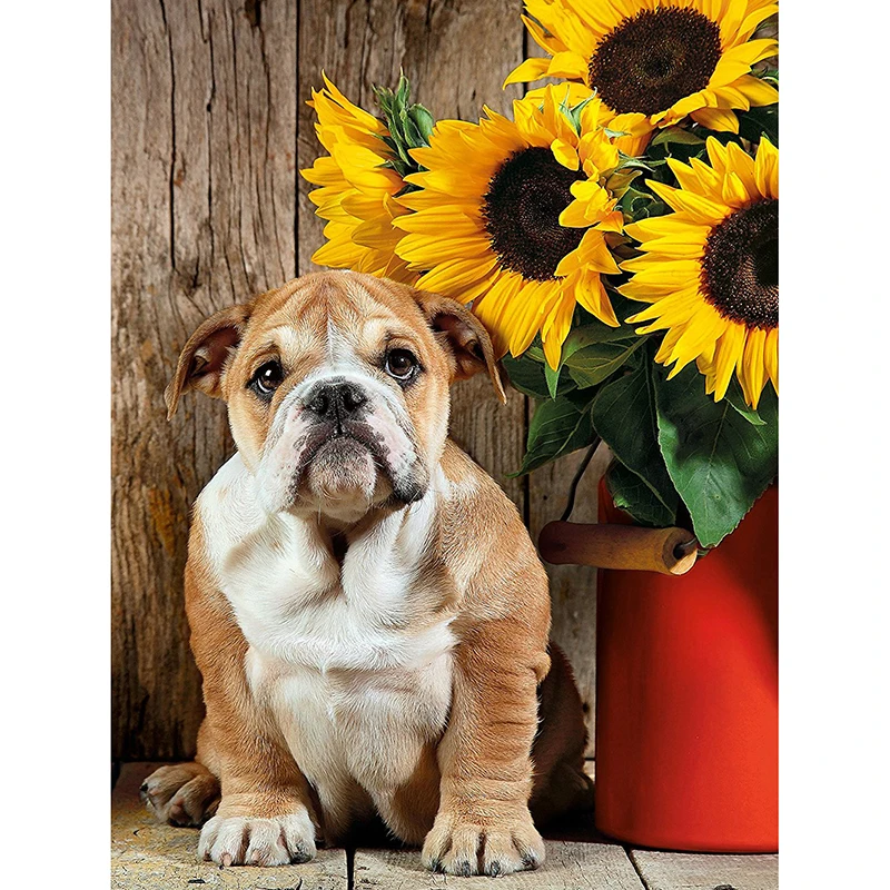 bulldog flower
