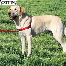 Nuevo desarrollo de caminar arnés del perro fácil frente plomo arnés correa de perro no tire del arnés fijación fuerte correa Sml para diferentes raza