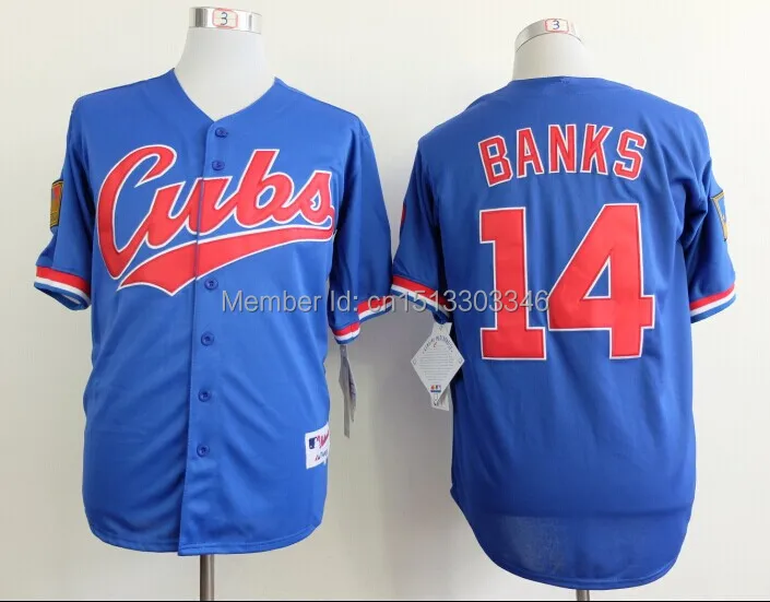 14 Ernie Banks blue.jpg