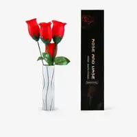 Rose และแจกัน close - up magic trick/ทีวี/professional magic ผลิตภัณฑ์/ขายส่ง/amazing, แยกกุหลาบ, โรแมนติก magic