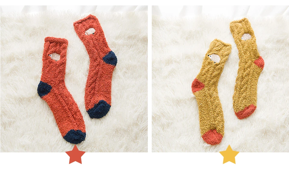 2019 Winter New Embroidered Animal Puppies Cat Lady Floor Sock Thick Section Warm Home Coral Velvet Ladies Socks Wholesale (7)