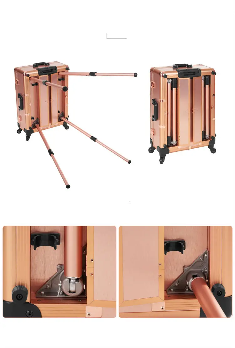 case (4)