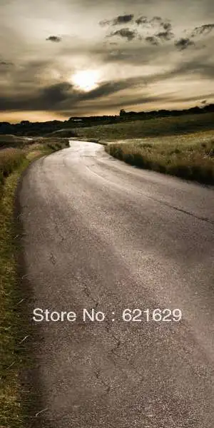 

Rural road 10'x20' CP Computer-painted Scenic Photography Background Photo Studio Backdrop DT-LP-0516