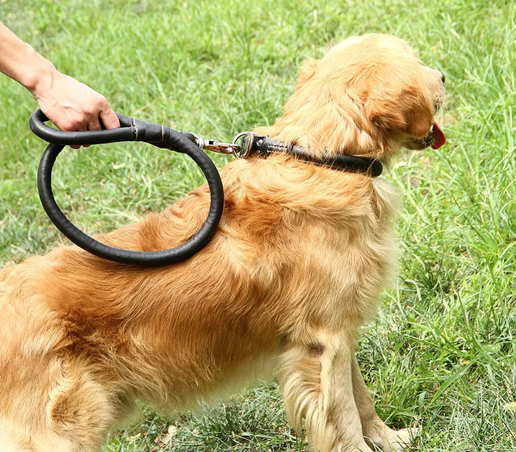 Поводок для собак ошейник для средних и больших собак цепь Jin Mao Satsu pet strong Dog два цвета