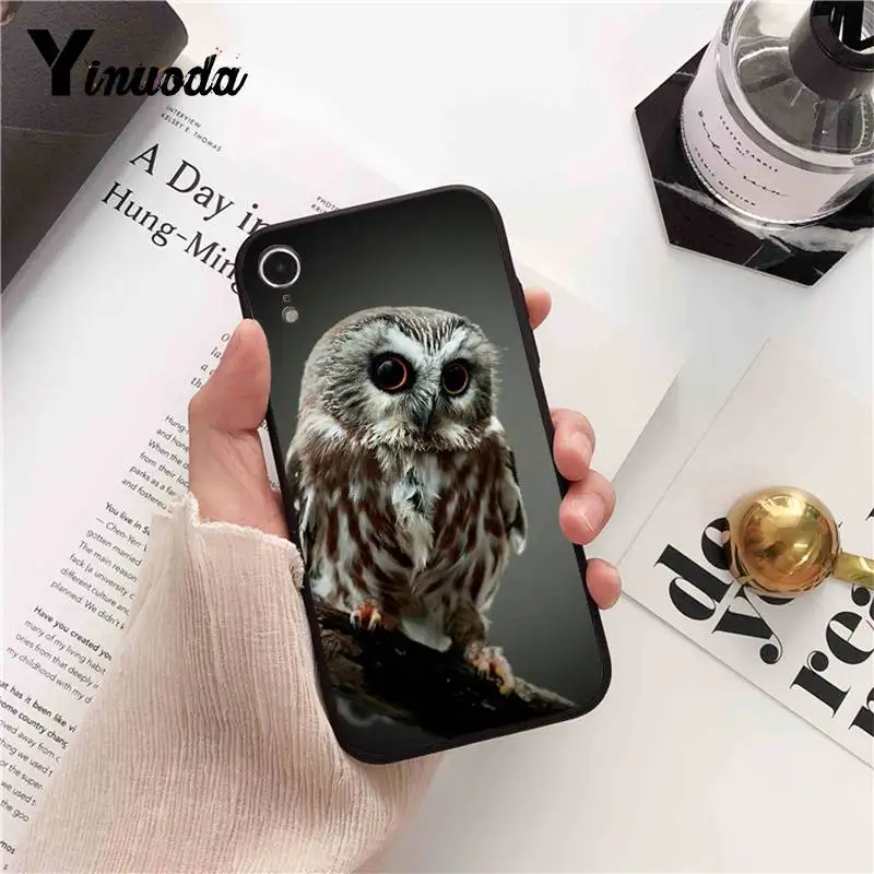 Animal Owl