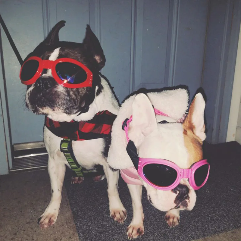 

Fashion Dog Sunglasses Cool Pet Dog Accessories Adjustable Glasses For French Bulldogs Medium Big Dog Waterproof Goggles 20S2