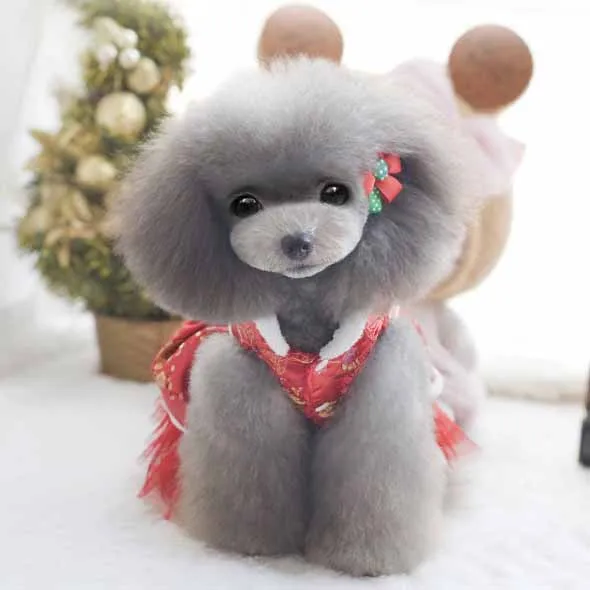 Chinese Styel Designer Pet Dog Cat Clothes Puppy Dog Cat Dress Chihuahua Tang Costume New Year Spring Festival Pet Clothing8
