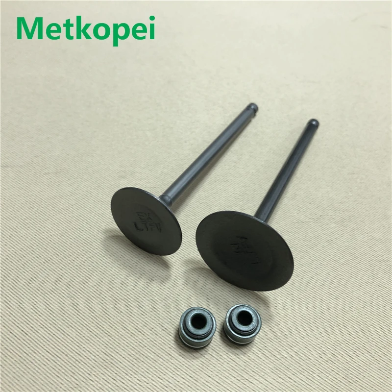 QM200GY engine valve (3)