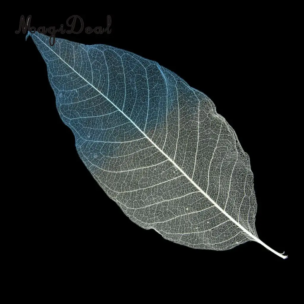 100pcs Natural Magnolia Skeleton Leaf Leaves Embellishment for DIY Crafts Purple Blue