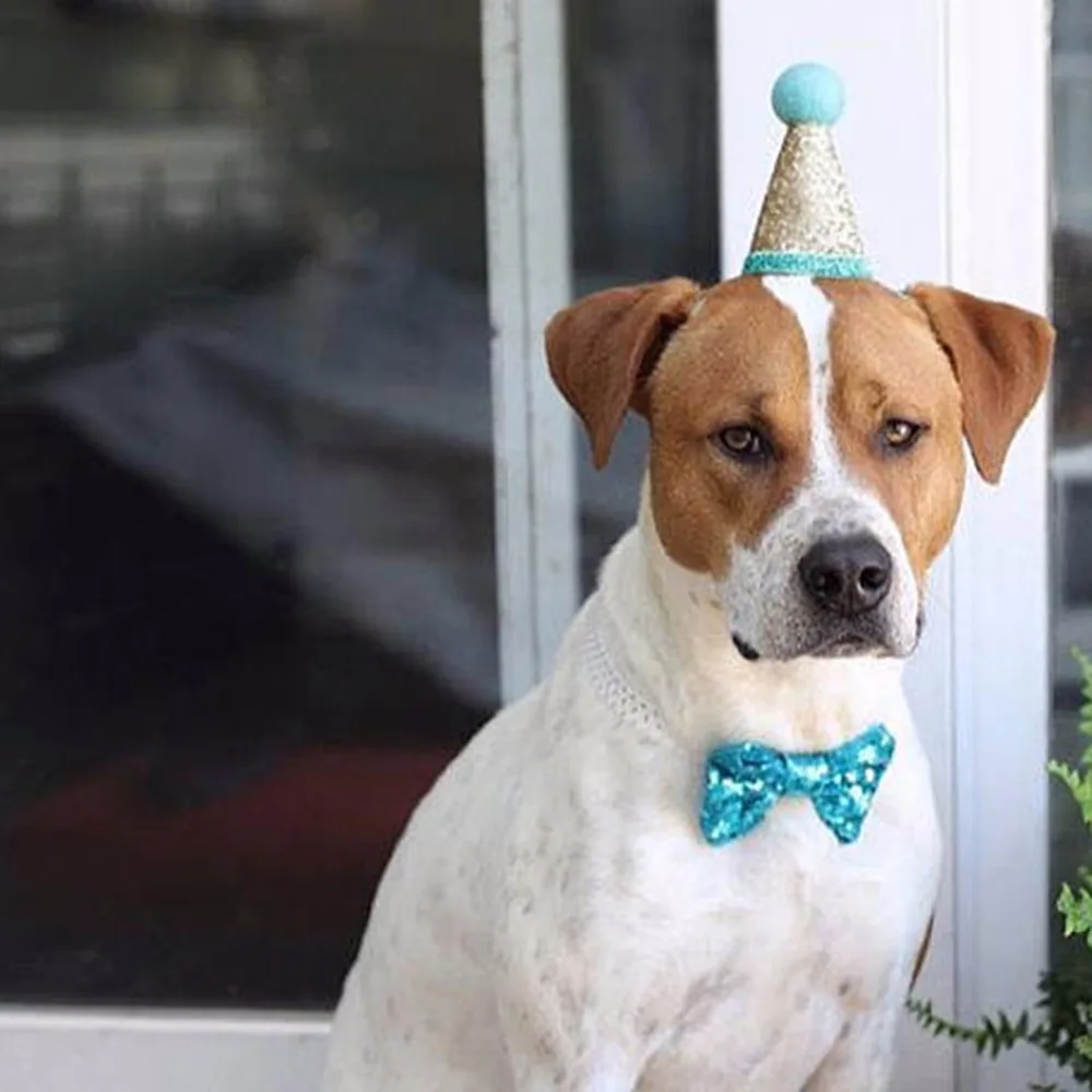 2 шт./компл. блесток день рождения домашних животных кошка собака Кепка галстук