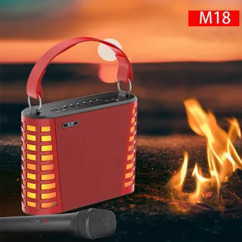 

ZERODATE 15W dual speakers, portable Bluetooth speaker with a microphone, singing karaoke audio family