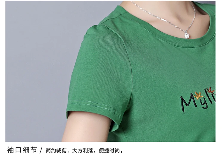 xq (31)