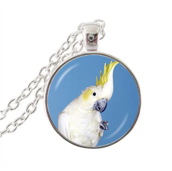 

2017 New Vintage Parrot Pendant Necklace Handmade Chain Glass Dome Pendants Bird Photo Jewelry Long Necklaces For Women