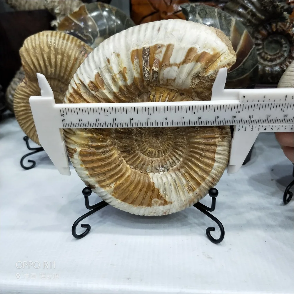 IMG20181108145732