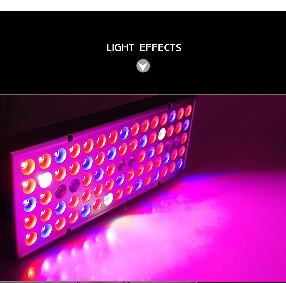 LED Phyto Lamps  (9)
