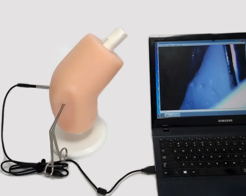 

Arthroscopy Simulator Trainer Orthopedic Knee Arthroscope Teaching Apparatus