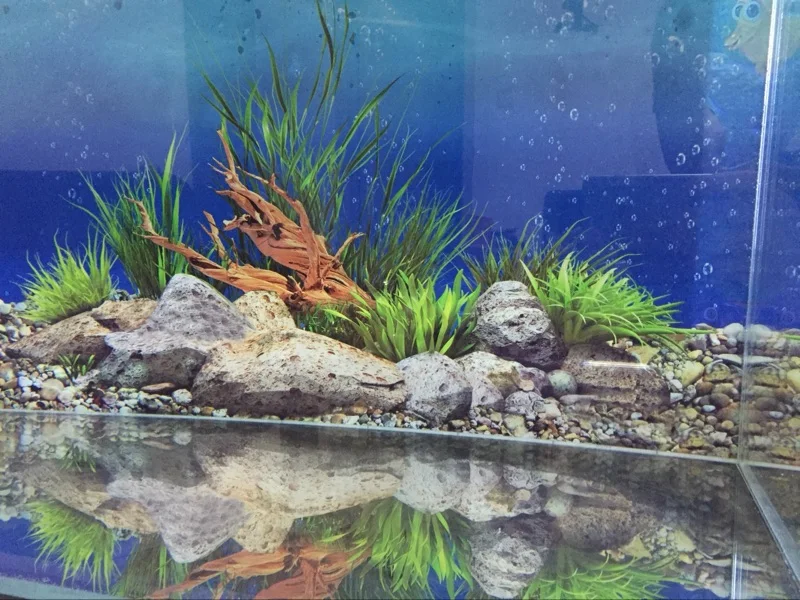 halloween fish tank decor PVC Aquarium Background Decoration Double-side Fish Tank Background Sticker Ocean Stone Fish Plant Acuario Decor Ornament Poster fish tank table stand